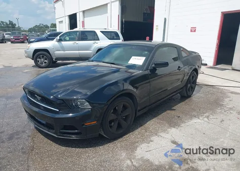 2014 Ford Mustang V6 Premium z USA, uszkodzony, nr VIN 1ZVBP8AM1E5210862